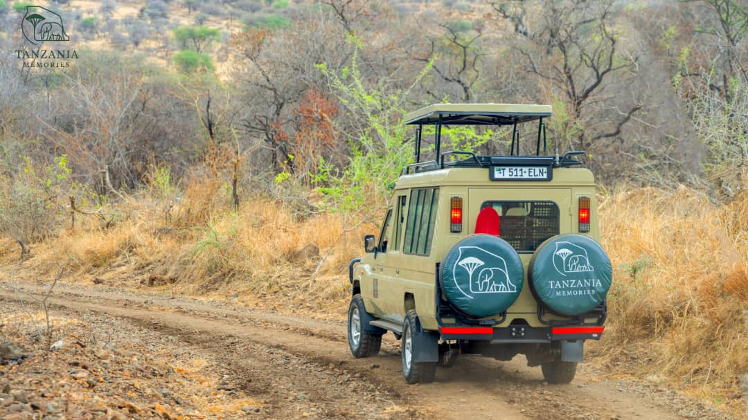A Tapestry of Traditions: Exploring Tanzania's Famous Tribes.