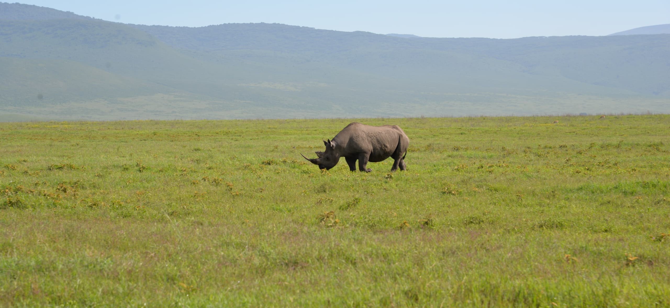 What to Expect on a Tanzania Safari: Wildlife, Adventure & Unforgettable Memories